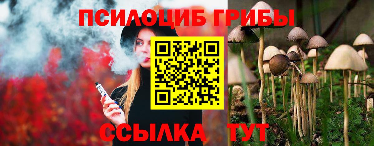 Изобильный  Псилоцибиновые грибы ЛСД  Вход с VPN  Псилоцибиновые грибы MAGIC MUSHROOMS 